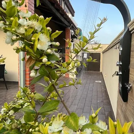 Holiday home Eleonora Sant'Andrea (Sardinia)
